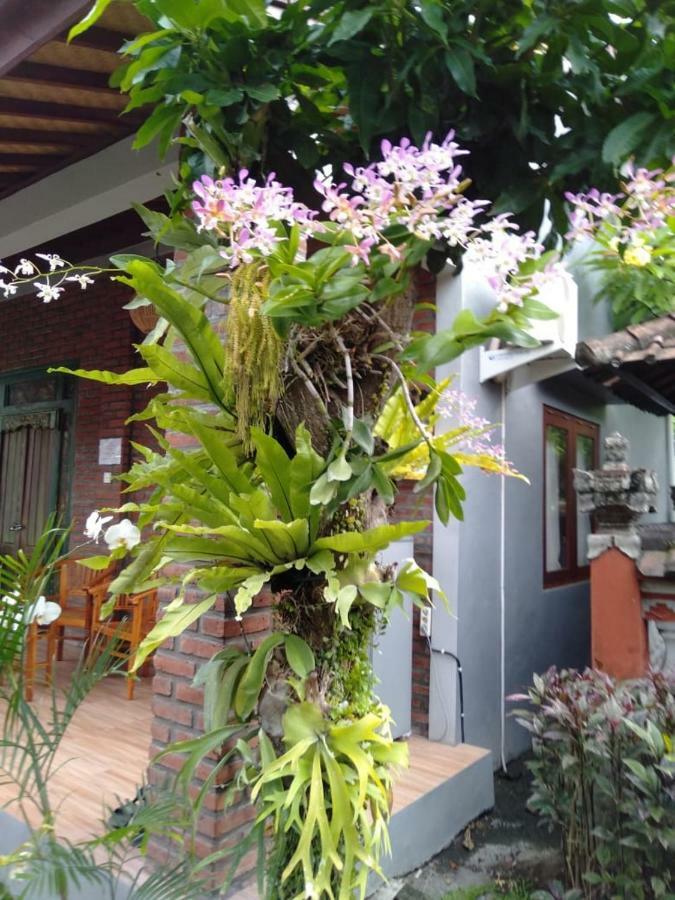 Twins Homestay Canggu Εξωτερικό φωτογραφία